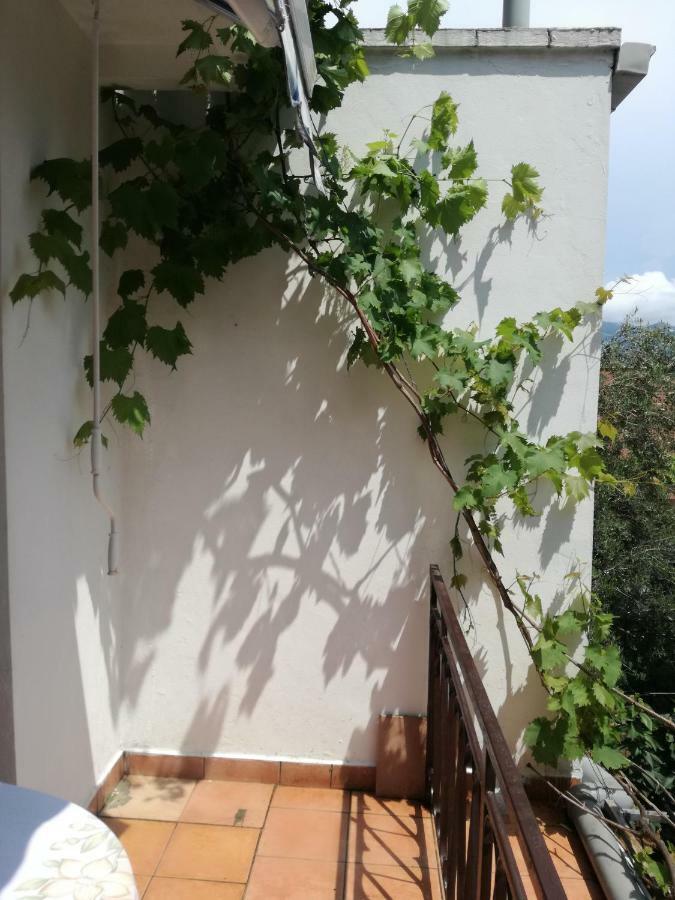 Guest House Vila Bak Будва Экстерьер фото